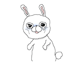 white rabbit sticker #1237544
