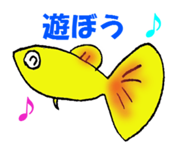 aquarium sticker #1239124