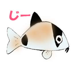 aquarium sticker #1239134