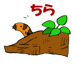 aquarium sticker #1239141