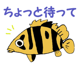 aquarium sticker #1239142