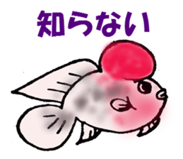 aquarium sticker #1239153