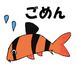 aquarium sticker #1239160