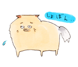 Pomeranian Junco sticker #1242605