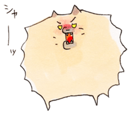 Pomeranian Junco sticker #1242632