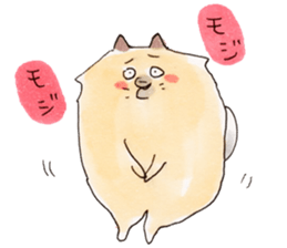 Pomeranian Junco sticker #1242636