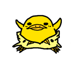 piyohiko&kanahiko sticker #1245285