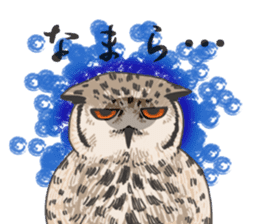 hokkaido owl sticker #1245443