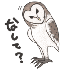 hokkaido owl sticker #1245444