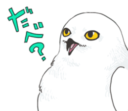 hokkaido owl sticker #1245445