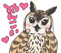 hokkaido owl sticker #1245447