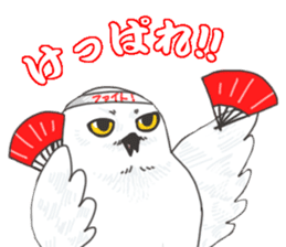 hokkaido owl sticker #1245448