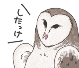 hokkaido owl sticker #1245450