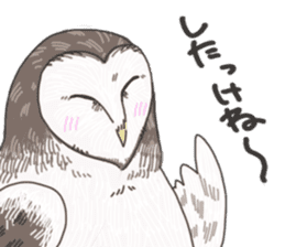 hokkaido owl sticker #1245451