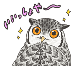 hokkaido owl sticker #1245452