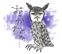 hokkaido owl sticker #1245453