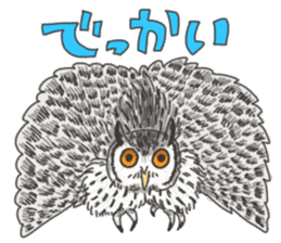 hokkaido owl sticker #1245454
