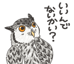 hokkaido owl sticker #1245455