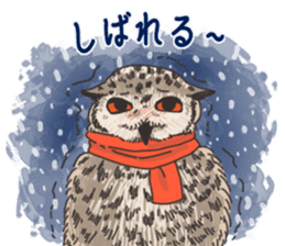 hokkaido owl sticker #1245457