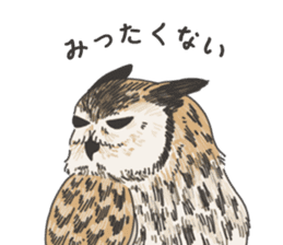 hokkaido owl sticker #1245462