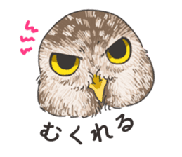hokkaido owl sticker #1245463