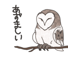 hokkaido owl sticker #1245464
