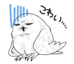 hokkaido owl sticker #1245466