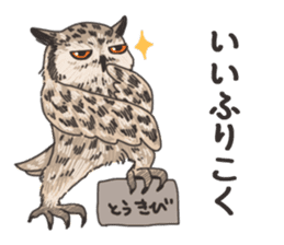 hokkaido owl sticker #1245467