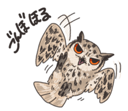 hokkaido owl sticker #1245468
