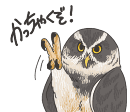 hokkaido owl sticker #1245469