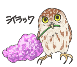 hokkaido owl sticker #1245473