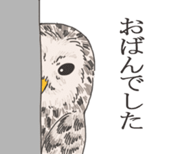hokkaido owl sticker #1245477