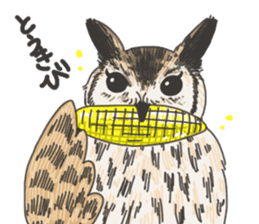 hokkaido owl sticker #1245478