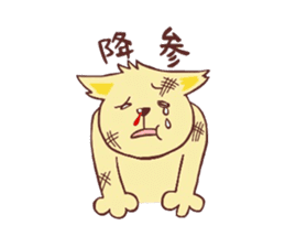 Cat such as the dog sticker #1249828