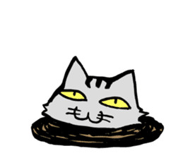This cat spend every day pleasantly(E) sticker #1249876