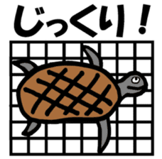 Onigiri spotted seal sticker #1251555