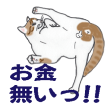 realcats sticker #1253564