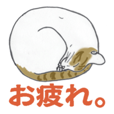 realcats sticker #1253565