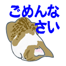 realcats sticker #1253566