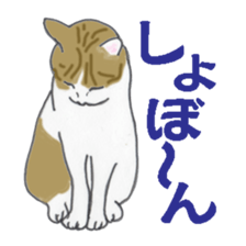 realcats sticker #1253567