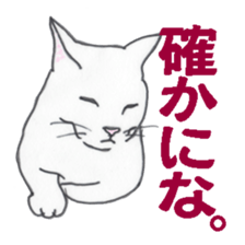 realcats sticker #1253568