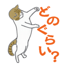 realcats sticker #1253570