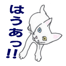 realcats sticker #1253576