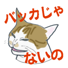 realcats sticker #1253577