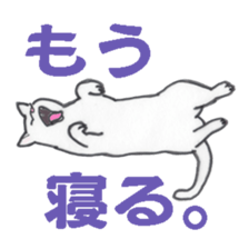 realcats sticker #1253583