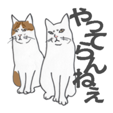 realcats sticker #1253584