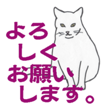 realcats sticker #1253586