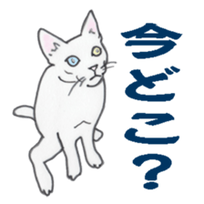 realcats sticker #1253592