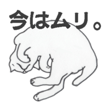 realcats sticker #1253593