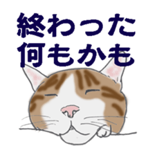 realcats sticker #1253594